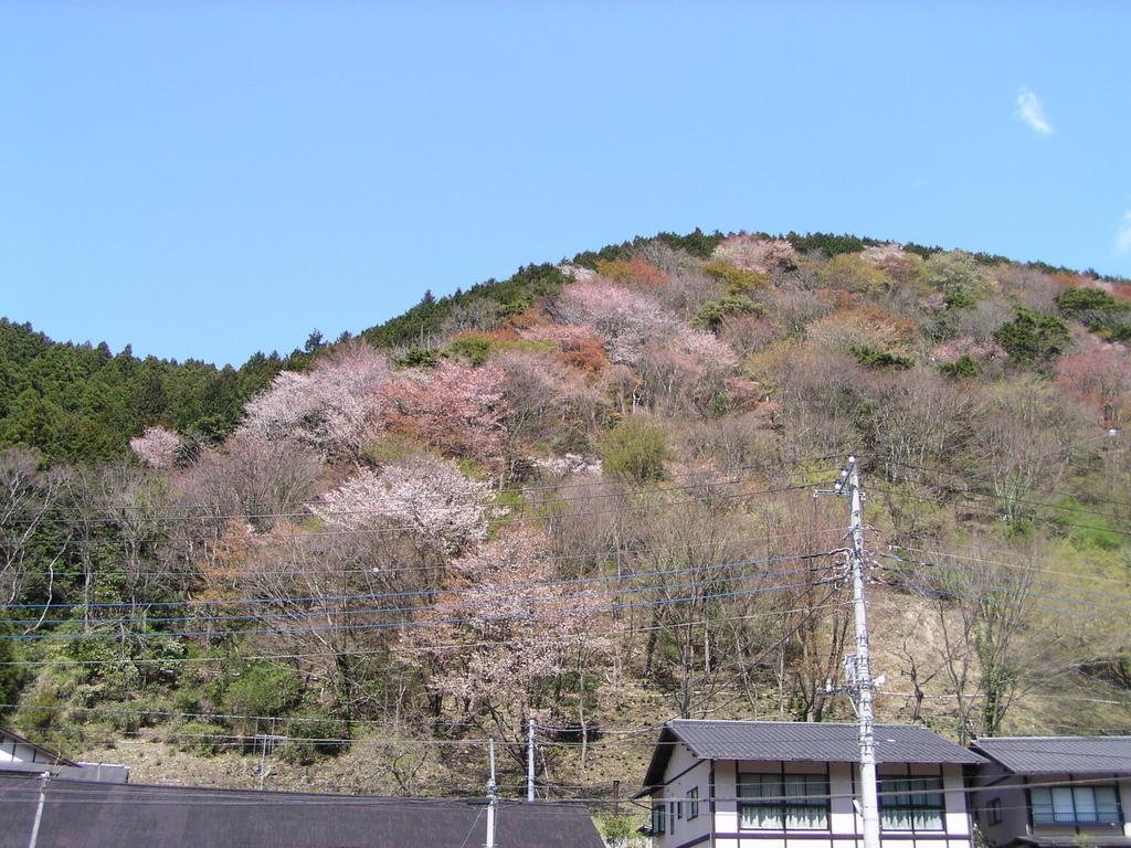 Irorino Yado Sankichi Hotel Izu  Bagian luar foto