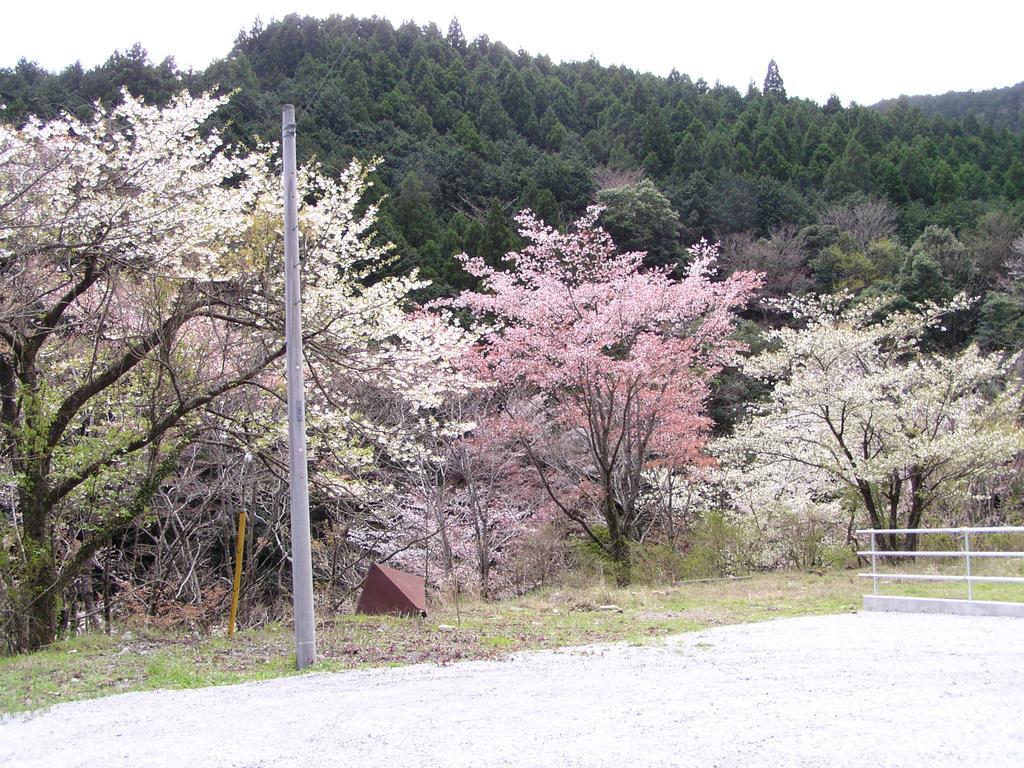 Irorino Yado Sankichi Hotel Izu  Bagian luar foto